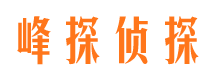 凤泉市调查公司